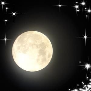 Meet your Posher, Isabel